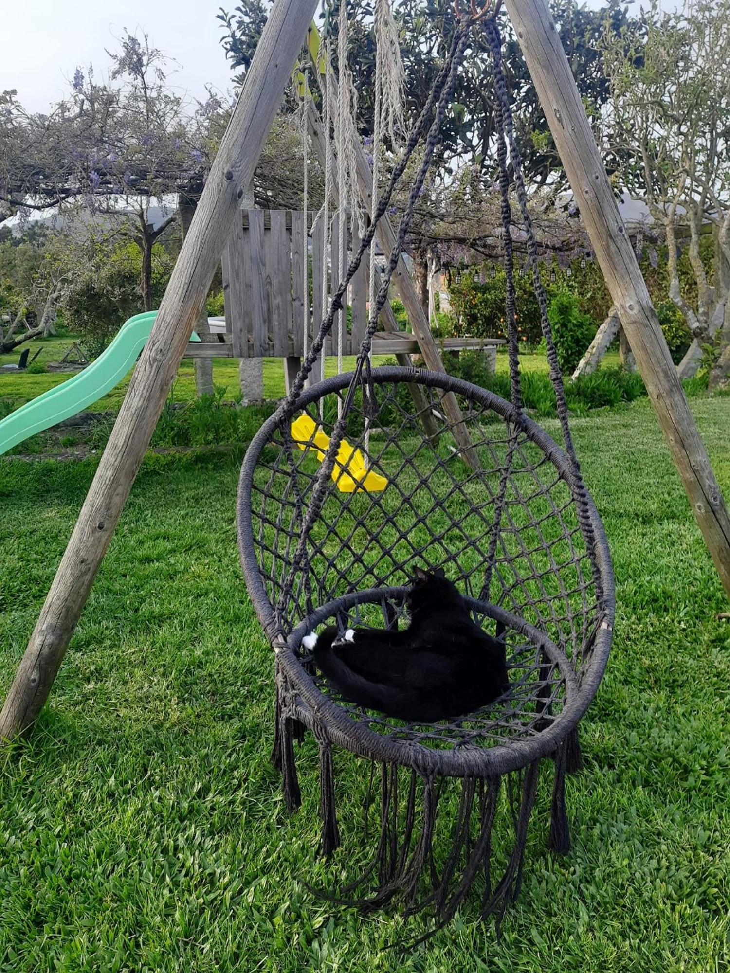 Willa Casinha Nº461 Vila Praia de Âncora Zewnętrze zdjęcie