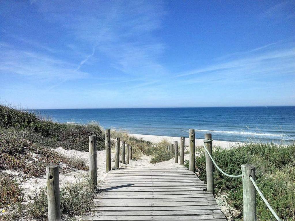 Willa Casinha Nº461 Vila Praia de Âncora Zewnętrze zdjęcie